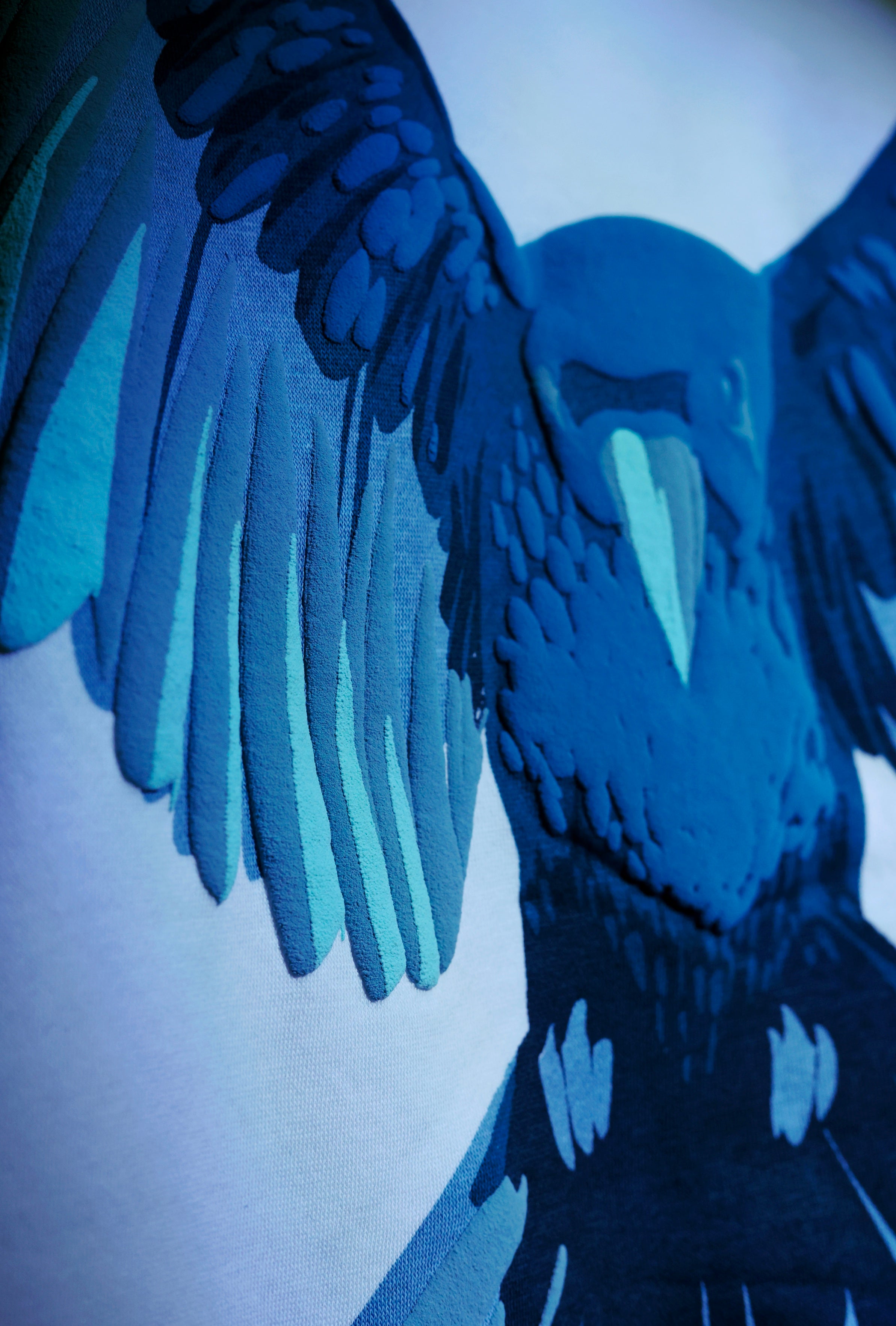 FEATHER FUSION SWEATSHIRT