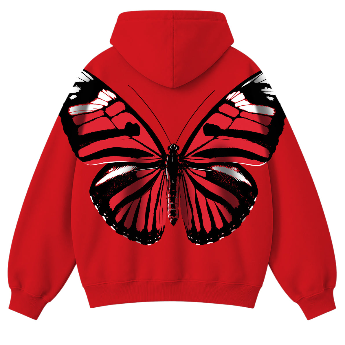 scarlet-wings-back.jpg