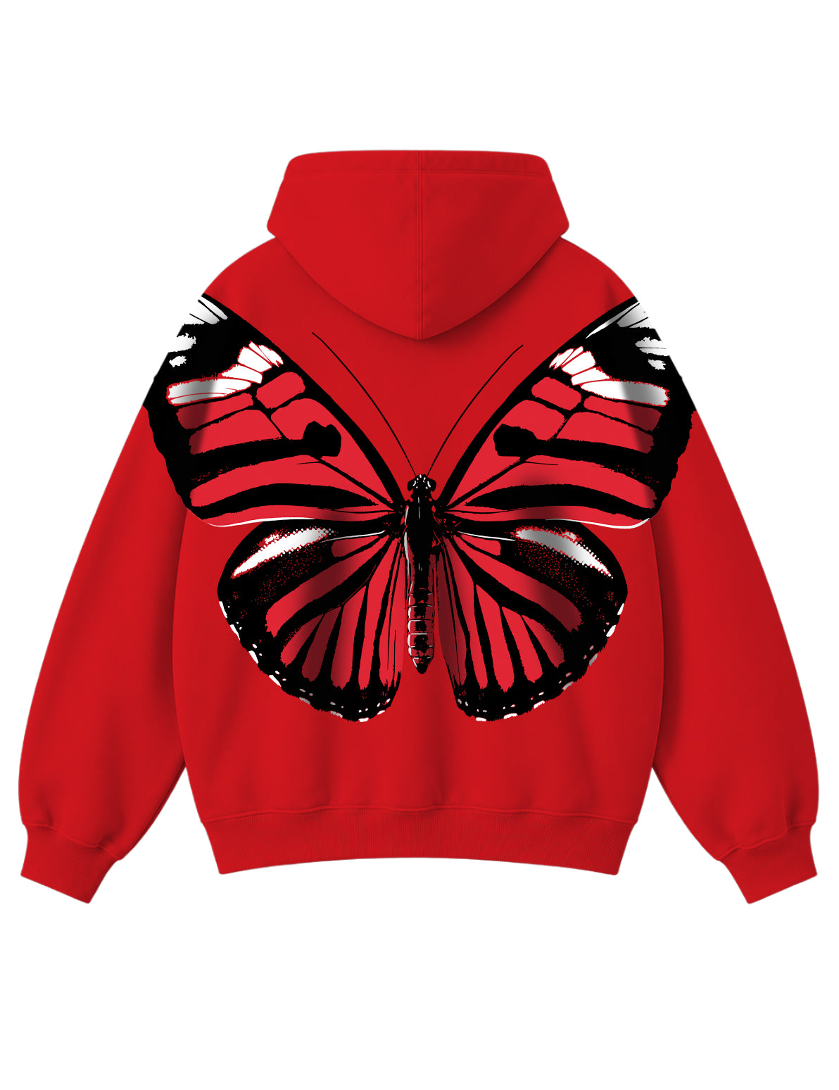 scarlet-wings-back.jpg