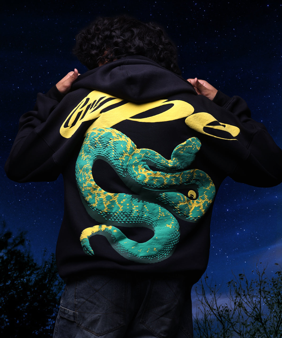 shadow-viper3.jpg