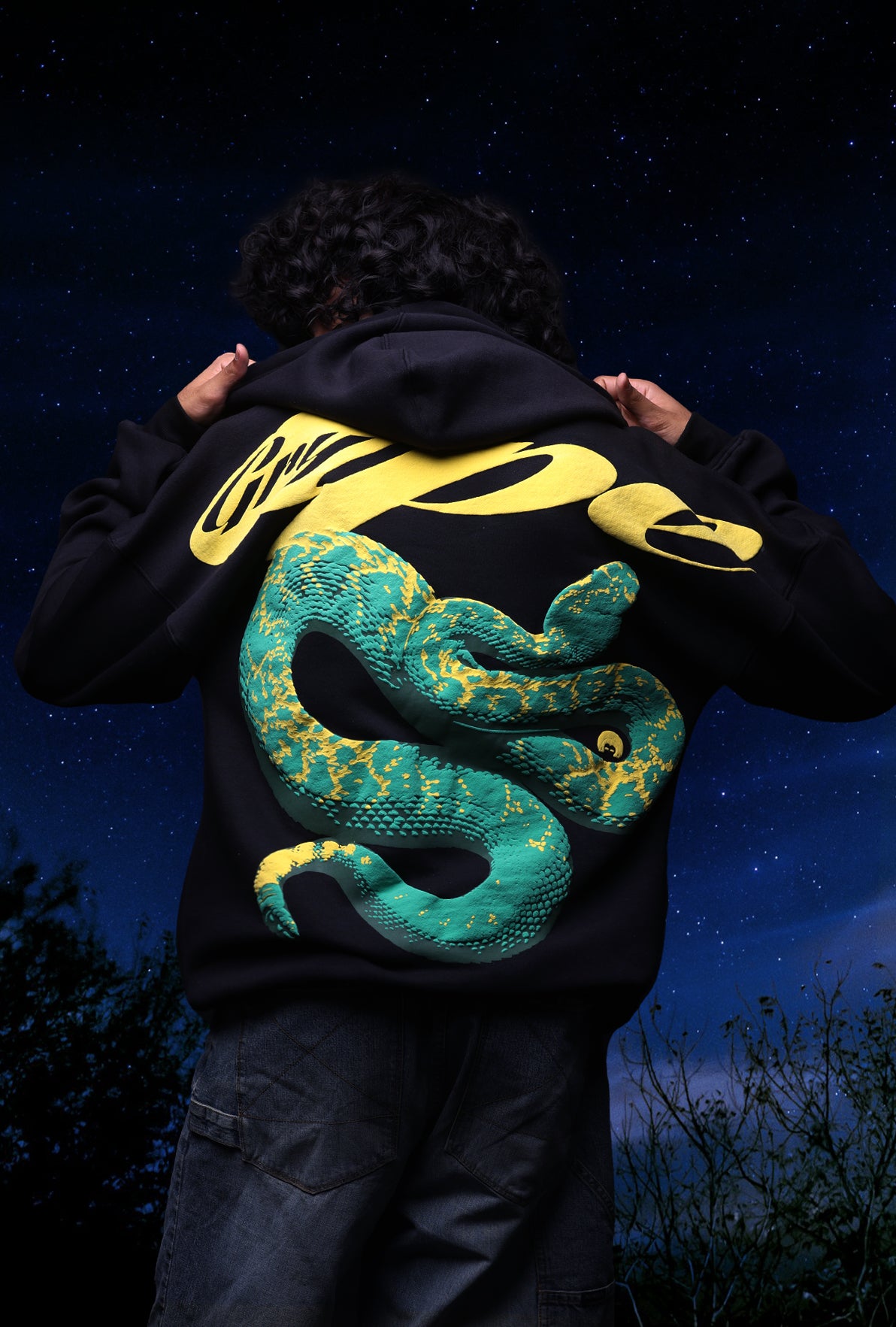 shadow-viper3.jpg